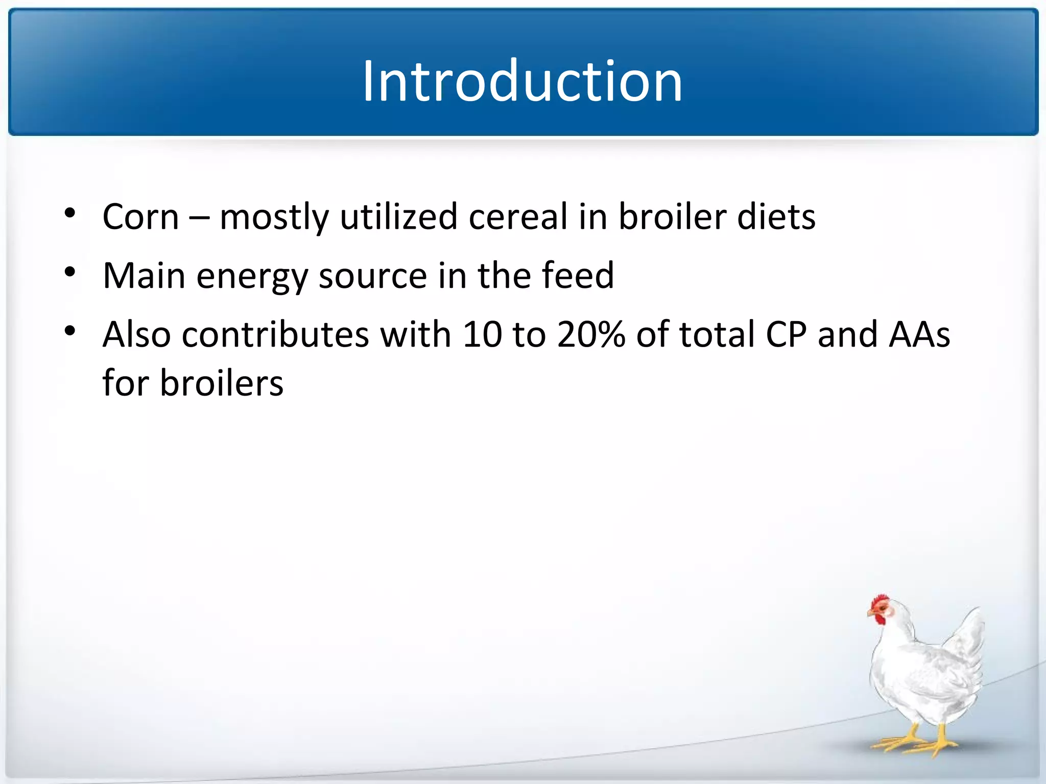 Introduction
• Corn – mostly utilized cereal in broiler diets
• Main energy source in the feed
• Also contributes with 10 to 20% of total CP and AAs
for broilers

 