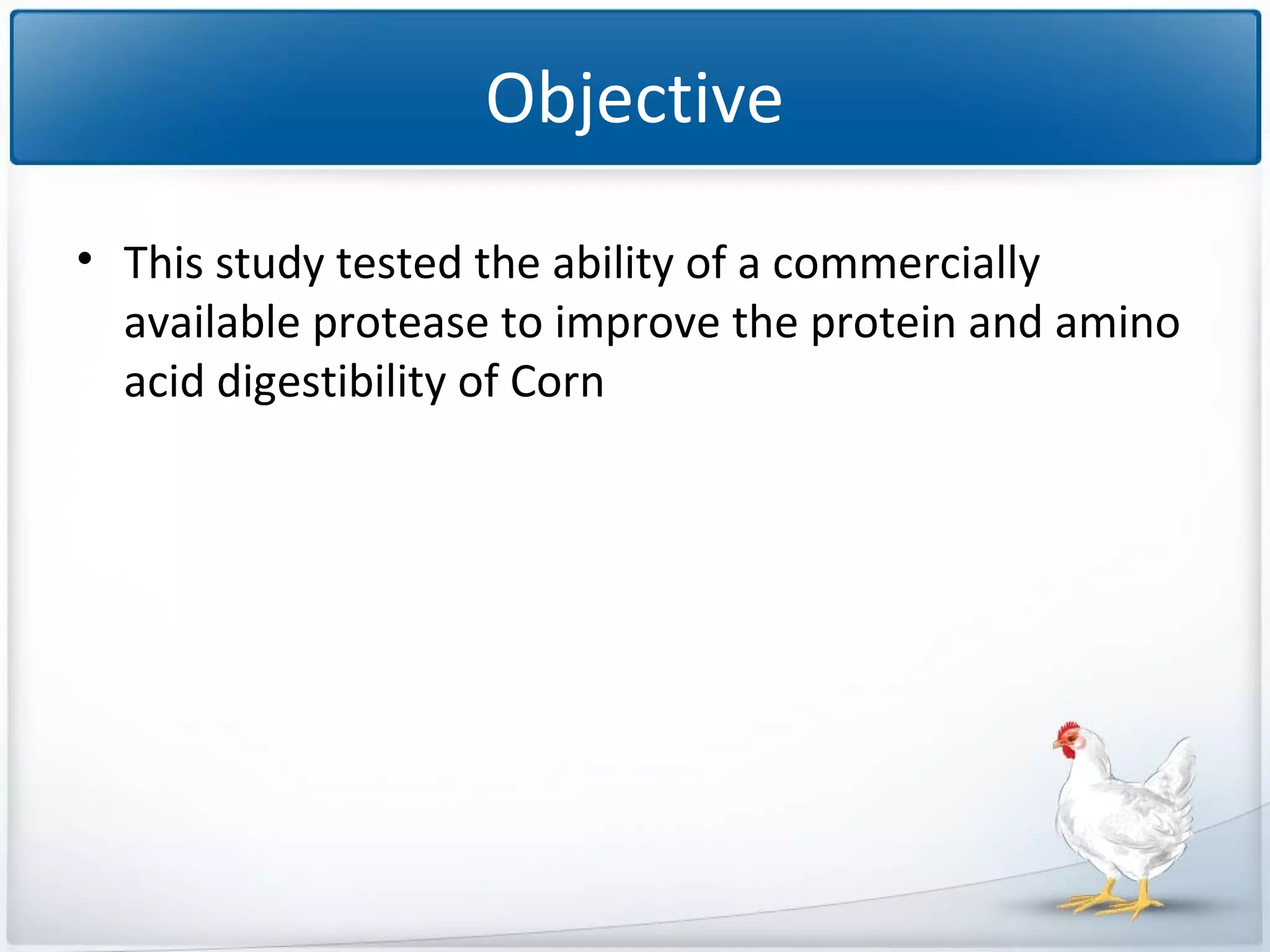 Objective
• This study tested the ability of a commercially
available protease to improve the protein and amino
acid digestibility of Corn

 