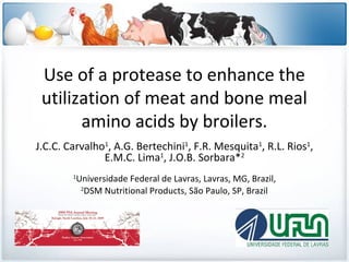 Use of a protease to enhance the
utilization of meat and bone meal
amino acids by broilers.
J.C.C. Carvalho1, A.G. Bertechini1, F.R. Mesquita1, R.L. Rios1,
E.M.C. Lima1, J.O.B. Sorbara*2
1

Universidade Federal de Lavras, Lavras, MG, Brazil,
2
DSM Nutritional Products, São Paulo, SP, Brazil

 