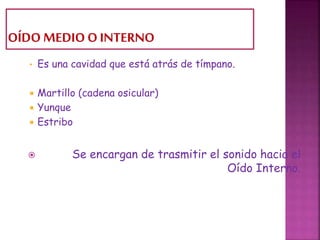• Es una cavidad que está atrás de tímpano.
 Martillo (cadena osicular)
 Yunque
 Estribo
 Se encargan de trasmitir el sonido hacia el
Oído Interno.
 