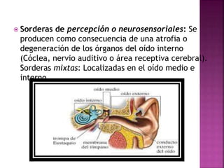  Sorderas de percepción o neurosensoriales: Se
producen como consecuencia de una atrofia o
degeneración de los órganos del oído interno
(Cóclea, nervio auditivo o área receptiva cerebral).
Sorderas mixtas: Localizadas en el oído medio e
interno.
 