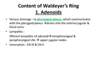 Content of Waldeyer’s Ring
1. Adenoids
• Venous drainage : to pharyngeal plexus, which communicates
with the pterygoid plexus drains into the internal jugular &
facial veins
• Lympathic :
Efferent lympathic of adenoidretropharyngeal &
parapharyngeal LNs  upper jugular nodes
• Innervation : CN IX & CN X
 