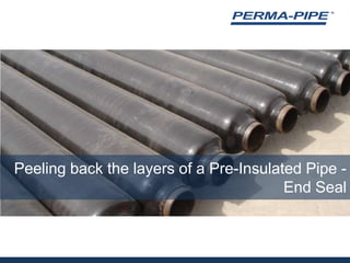 Peeling back the layers of a Pre-Insulated Pipe - End Seal