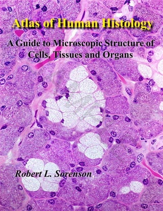 Atlas of Human Histology
A Guide to Microscopic Structure of
Cells, Tissues and Organs
Robert L. Sorenson
S
A
M
P
L
E
 