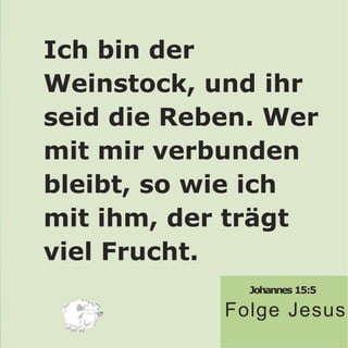 Johannes 15:5
Folge Jesus
Ich bin der
Weinstock, und ihr
seid die Reben. Wer
mit mir verbunden
bleibt, so wie ich
mit ihm, der trägt
viel Frucht.
 