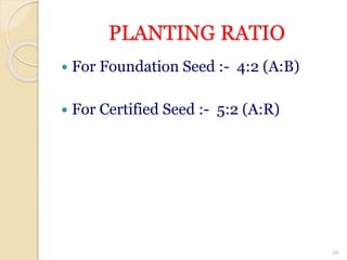 PLANTING RATIO
 For Foundation Seed :- 4:2 (A:B)
 For Certified Seed :- 5:2 (A:R)
26
 