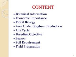 CONTENT
 Botanical Information
 Economic Importance
 Floral Biology
 Area Under Sorghum Production
 Life Cycle
 Breeding Objective
 Season
 Soil Requirement
 Field Preparation
3
 