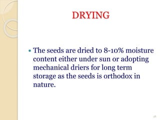 DRYING
 The seeds are dried to 8-10% moisture
content either under sun or adopting
mechanical driers for long term
storage as the seeds is orthodox in
nature.
38
 
