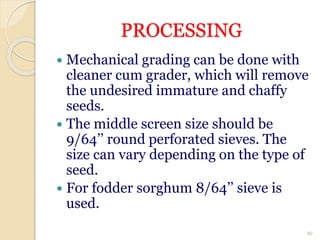 PROCESSING
 Mechanical grading can be done with
cleaner cum grader, which will remove
the undesired immature and chaffy
seeds.
 The middle screen size should be
9/64’’ round perforated sieves. The
size can vary depending on the type of
seed.
 For fodder sorghum 8/64’’ sieve is
used.
39
 