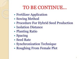TO BE CONTINUE...
 Fertilizer Application
 Sowing Method
 Procedure For Hybrid Seed Production
 Isolation Distance
 Planting Ratio
 Spacing
 Seed Rate
 Synchronization Technique
 Roughing From Female Plot
4
 