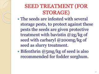 SEED TREATMENT (FOR
STORAGE)
 The seeds are infested with several
storage pests, to protect against these
pests the seeds are given protective
treatment with bavistin @2g/kg of
seed with carbaryl @200mg/kg of
seed as slurry treatment.
 Bifenthrin @5mg/kg of seed is also
recommended for fodder sorghum.
40
 