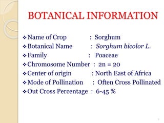 BOTANICAL INFORMATION
Name of Crop : Sorghum
Botanical Name : Sorghum bicolor L.
Family : Poaceae
Chromosome Number : 2n = 20
Center of origin : North East of Africa
Mode of Pollination : Often Cross Pollinated
Out Cross Percentage : 6-45 %
7
 