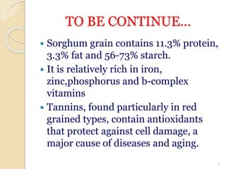 TO BE CONTINUE...
 Sorghum grain contains 11.3% protein,
3.3% fat and 56-73% starch.
 It is relatively rich in iron,
zinc,phosphorus and b-complex
vitamins
 Tannins, found particularly in red
grained types, contain antioxidants
that protect against cell damage, a
major cause of diseases and aging.
9
 