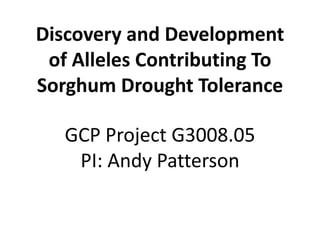 Discovery and Development
of Alleles Contributing To
Sorghum Drought Tolerance
GCP Project G3008.05
PI: Andy Patterson
 