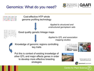 Working together with the
Queensland Government
Cost-effective HTP whole
genome profiling technology
Applied to QTL and association
mapping studies
Genomics: What do you need?
Good quality genetic linkage maps
Applied to structured and
unstructured germplasm sets
Knowledge of genomic regions controlling
key traits
Put this is context of existing knowledge of
other QTL and major effects genes in order
to develop more effective breeding
strategies
 