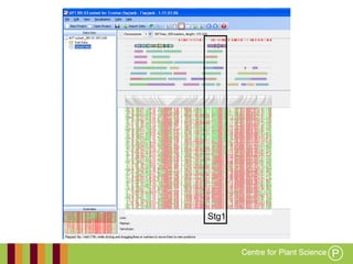 Working together with the
Queensland Government
Stg1
 