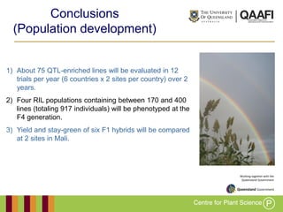 Working together with the
Queensland Government
Conclusions
(Population development)
1) About 75 QTL-enriched lines will be evaluated in 12
trials per year (6 countries x 2 sites per country) over 2
years.
2) Four RIL populations containing between 170 and 400
lines (totaling 917 individuals) will be phenotyped at the
F4 generation.
3) Yield and stay-green of six F1 hybrids will be compared
at 2 sites in Mali.
 