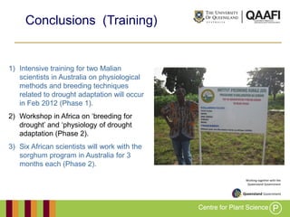 Working together with the
Queensland Government
Conclusions (Training)
1) Intensive training for two Malian
scientists in Australia on physiological
methods and breeding techniques
related to drought adaptation will occur
in Feb 2012 (Phase 1).
2) Workshop in Africa on „breeding for
drought‟ and „physiology of drought
adaptation (Phase 2).
3) Six African scientists will work with the
sorghum program in Australia for 3
months each (Phase 2).
 