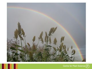 Working together with the
Queensland Government
 