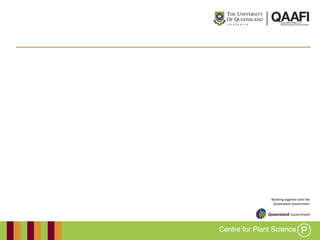 Working together with the
Queensland Government
 