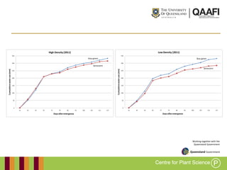 Working together with the
Queensland Government
Stay-green
Senescent
0
50
100
150
200
250
300
350
16 30 44 65 73 79 86 93 100 107 121 137
Cumulativewateruse(mm)
Days afteremergence
High Density (2011)
Stay-green
Senescent
0
50
100
150
200
250
300
350
16 30 44 65 73 79 86 93 100 107 121 137
Cumulativewateruse(mm)
Days afteremergence
Low Density (2011)
 