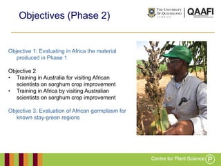 Working together with the
Queensland Government
Objectives (Phase 2)
Objective 1: Evaluating in Africa the material
produc...