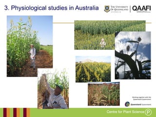 Working together with the
Queensland Government
3. Physiological studies in Australia
 