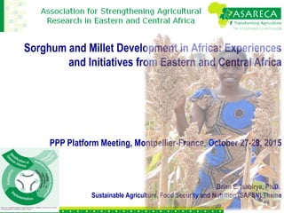 Sorghum and Millet Development in Africa: Experiences
and Initiatives from Eastern and Central Africa
PPP Platform Meeting, Montpellier-France, October 27-29, 2015
Brian E. Isabirye, Ph.D.
Sustainable Agriculture, Food Security and Nutrition (SAFSN) Theme
 