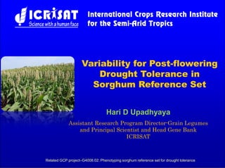 Hari D Upadhyaya
Variability for Post-flowering
Drought Tolerance in
Sorghum Reference Set
Related GCP project–G4008.02: Phenotyping sorghum reference set for drought tolerance
Assistant Research Program Director-Grain Legumes
and Principal Scientist and Head Gene Bank
ICRISAT
 