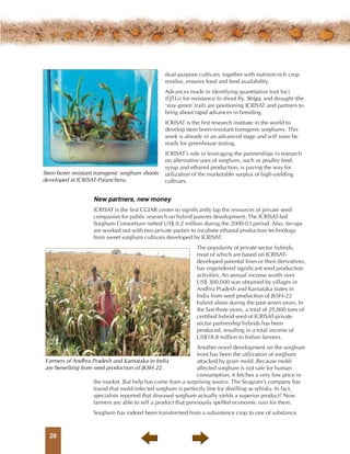 Sorghum, a crop of substance