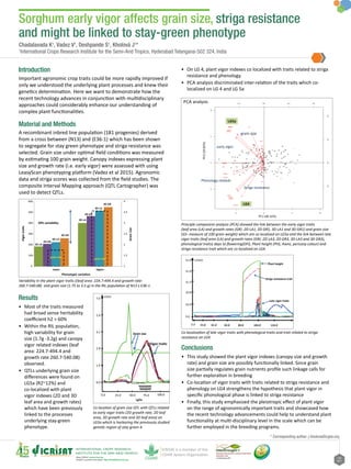 Sorghum early vigor affects grain size, striga resistance and might be linked to stay-green phenotype