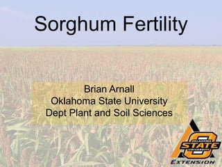 Sorghum Fertility
Brian Arnall
Oklahoma State University
Dept Plant and Soil Sciences
 
