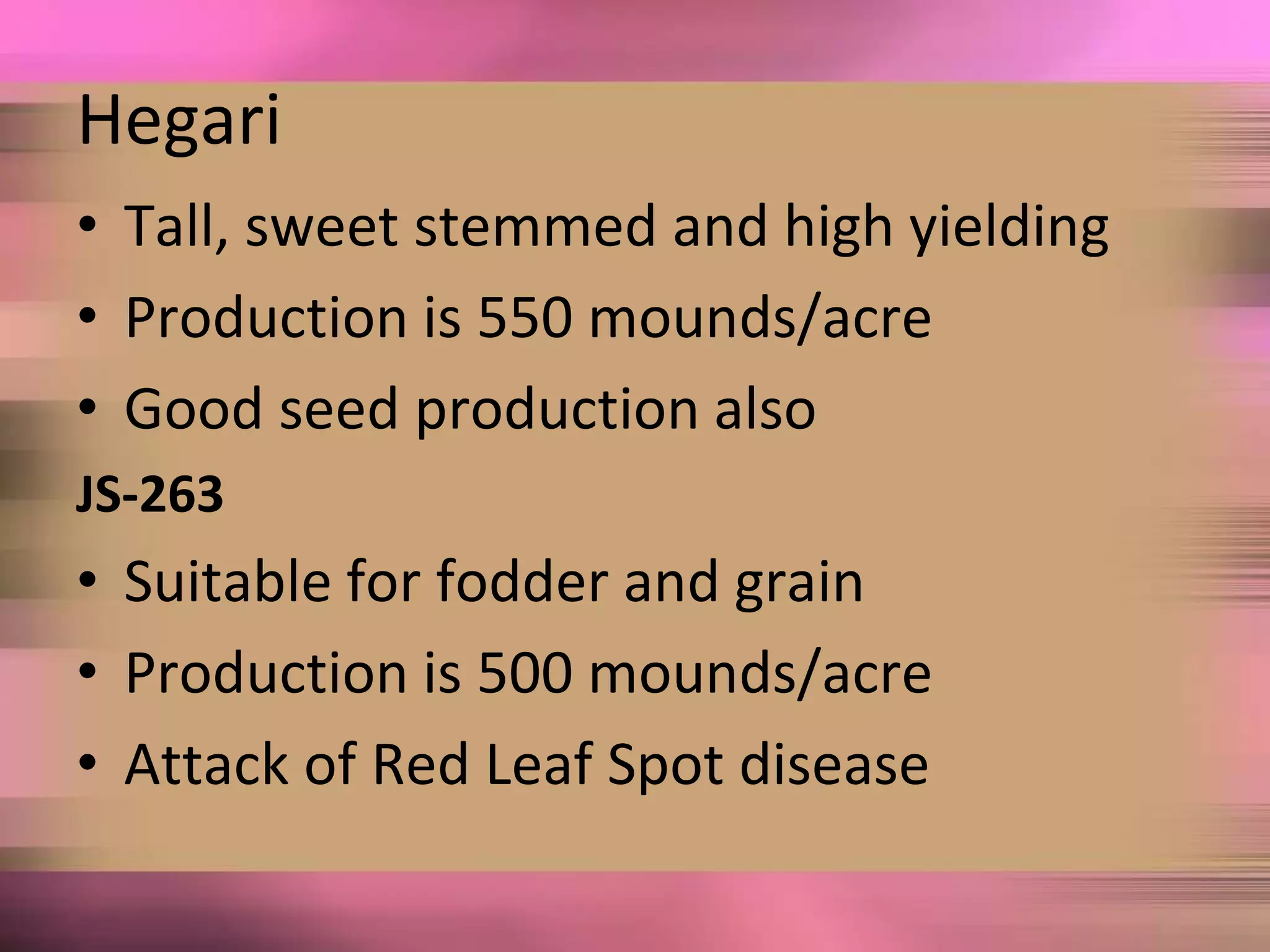 Hegari
• Tall, sweet stemmed and high yielding
• Production is 550 mounds/acre
• Good seed production also
JS-263
• Suitable for fodder and grain
• Production is 500 mounds/acre
• Attack of Red Leaf Spot disease
 