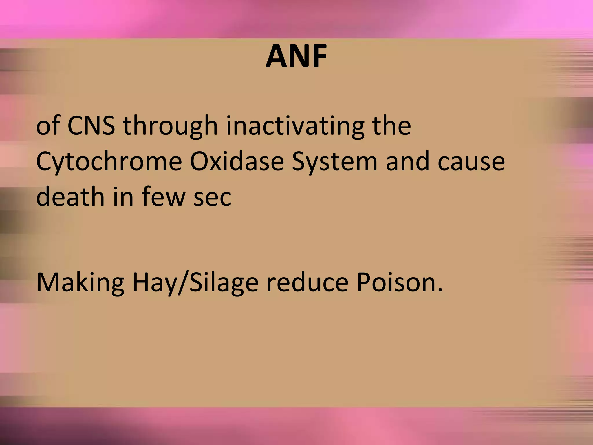 ANF
of CNS through inactivating the
Cytochrome Oxidase System and cause
death in few sec
Making Hay/Silage reduce Poison.
 