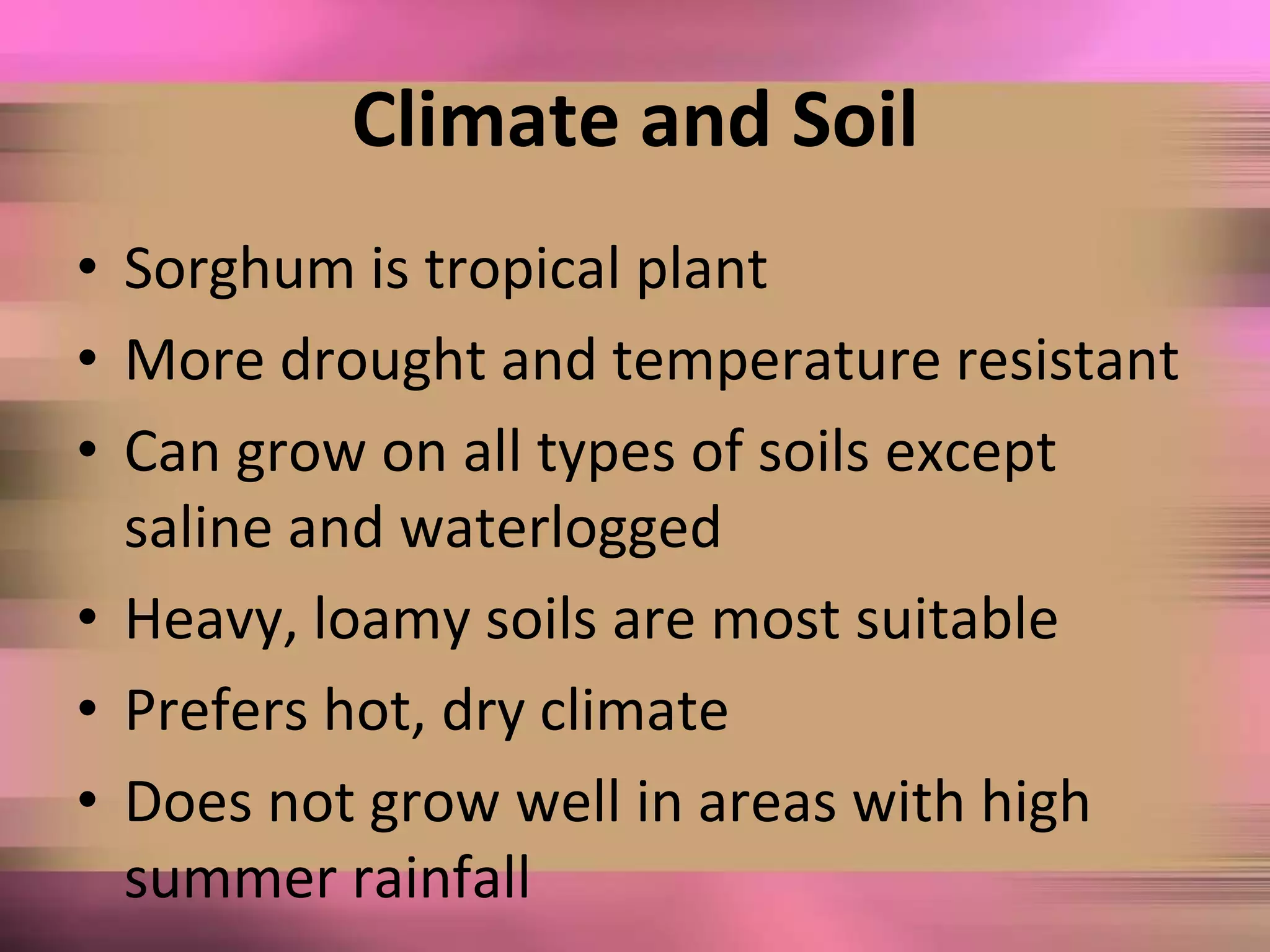 Climate and Soil
• Sorghum is tropical plant
• More drought and temperature resistant
• Can grow on all types of soils except
saline and waterlogged
• Heavy, loamy soils are most suitable
• Prefers hot, dry climate
• Does not grow well in areas with high
summer rainfall
 