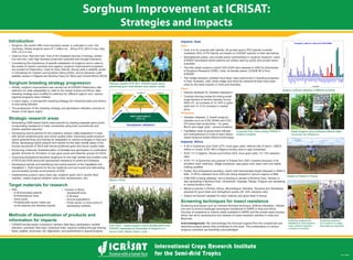 Sorghum Improvement at ICRISAT:
Strategies and Impacts
Introduction
Sorghum breeding strategy progression
Strategic research areas
rabi)
Guinea
Caudatum
Caudatum ×
Target materials for research
Impacts: Asia
India
China
Philippines
Impacts: Africa
Striga injera
el
Screening techniques for insect resistance
Acknowledgments:
Parbhani Swetha (PVK 801): ICRISAT-public sector
partnership grain mold tolerant rainy season variety.
Macia in Africa.
CSH 22SS – Sweet sorghum hybrid (female parent from
ICRISAT) developed by Directorate of Sorghum in a
Sorghum cultivars released in different countries.
A scientist from China visiting ICRISAT’s
sorghum program.
Sweet sorghum lines at Mariano Marcos State
Gadam el Hamam in Kenya.
Screening sorghums for
resistance to
Screening sorghums
Methods of dissemination of products and
information for impacts
 