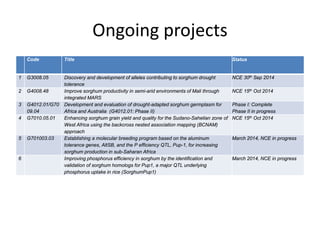 Ongoing projects
Code Title Status
1 G3008.05 Discovery and development of alleles contributing to sorghum drought
tolerance
NCE 30th Sep 2014
2 G4008.48 Improve sorghum productivity in semi-arid environments of Mali through
integrated MARS
NCE 15th Oct 2014
3 G4012.01/G70
09.04
Development and evaluation of drought-adapted sorghum germplasm for
Africa and Australia (G4012.01: Phase II)
Phase I: Complete
Phase II in progress
4 G7010.05.01 Enhancing sorghum grain yield and quality for the Sudano-Sahelian zone of
West Africa using the backcross nested association mapping (BCNAM)
approach
NCE 15th Oct 2014
5 G701003.03 Establishing a molecular breeding program based on the aluminum
tolerance genes, AltSB, and the P efficiency QTL, Pup-1, for increasing
sorghum production in sub-Saharan Africa
March 2014, NCE in progress
6 Improving phosphorus efficiency in sorghum by the identification and
validation of sorghum homologs for Pup1, a major QTL underlying
phosphorus uptake in rice (SorghumPup1)
March 2014, NCE in progress
 