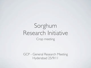 Sorghum
Research Initiative
Crop meeting
GCP - General Research Meeting
Hyderabad 25/9/11
 