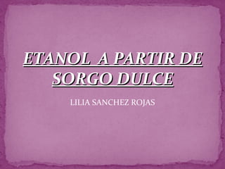 ETANOL A PARTIR DE
   SORGO DULCE
    LILIA SANCHEZ ROJAS
 