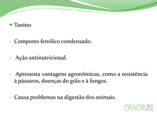  Tanino
- Composto fenólico condensado.
- Ação antinutricional.
- Apresenta vantagens agronômicas, como a resistência
à pássaros, doenças do grão e à fungos.
- Causa problemas na digestão dos animais.
 