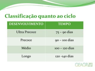 Classificação quanto ao ciclo
DESENVOLVIMENTO TEMPO
Ultra Precoce 75 – 90 dias
Precoce 90 – 100 dias
Médio 100 – 120 dias
Longo 120 -140 dias
 