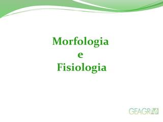 Morfologia
e
Fisiologia
 