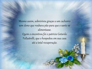 Mesmo assim, sobreviveu graças a um cachorro
sem dono que roubava pão para que o santo se
alimentasse.
Quem o encontrou foi o patrício Gotardo
Pallastrelli, que o hospedou em sua casa
até a total recuperação.
 