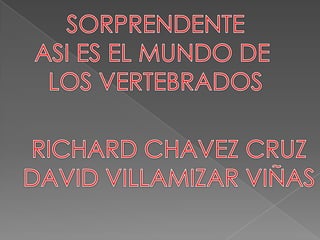 SORPRENDENTE ASI ES EL MUNDO DE  LOS VERTEBRADOS RICHARD CHAVEZ CRUZ DAVID VILLAMIZAR VIÑAS 