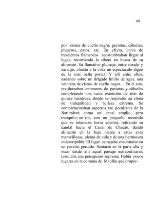 49
por cisnes de cuello negro, gaviotas, cáhuiles,
piqueros, patos, etc. En efecto, cerca de
trescientos flamencos acostumbraban llegar al
lugar, recorriendo la ribera en busca de su
alimento. Su llamativo plumaje, entre rosado y
naranjo, ofrecía a la vista un espectáculo digno
de la más bella postal. Y allí entre ellos,
nadando sobre un delgado hilillo de agua, una
veintena de cisnes de cuello negro… En el aire,
revoloteaban centenares de gaviotas y cáhuiles
completando una vasta extensión de más de
quince hectáreas, donde se respiraba un clima
de tranquilidad y belleza extrema. Se
complementaban aspectos tan peculiares de la
Naturaleza como un canal amplio, pero
tranquilo; un río, con un pequeño recorrido
que se internaba tierra adentro, retirando su
caudal hacia el Canal de Chacao, dando
alimento en la baja marea a estas aves
maravillosas, plenas de vida y de una hermosura
indescriptible. El lugar semejaba encontrarse en
un paraíso perdido. Sentarse en la parte alta y
otear desde allí aquel paisaje extraordinario,
resultaba una percepción suprema. Había pocos
lugares en la comuna de Maullín que propor-
 