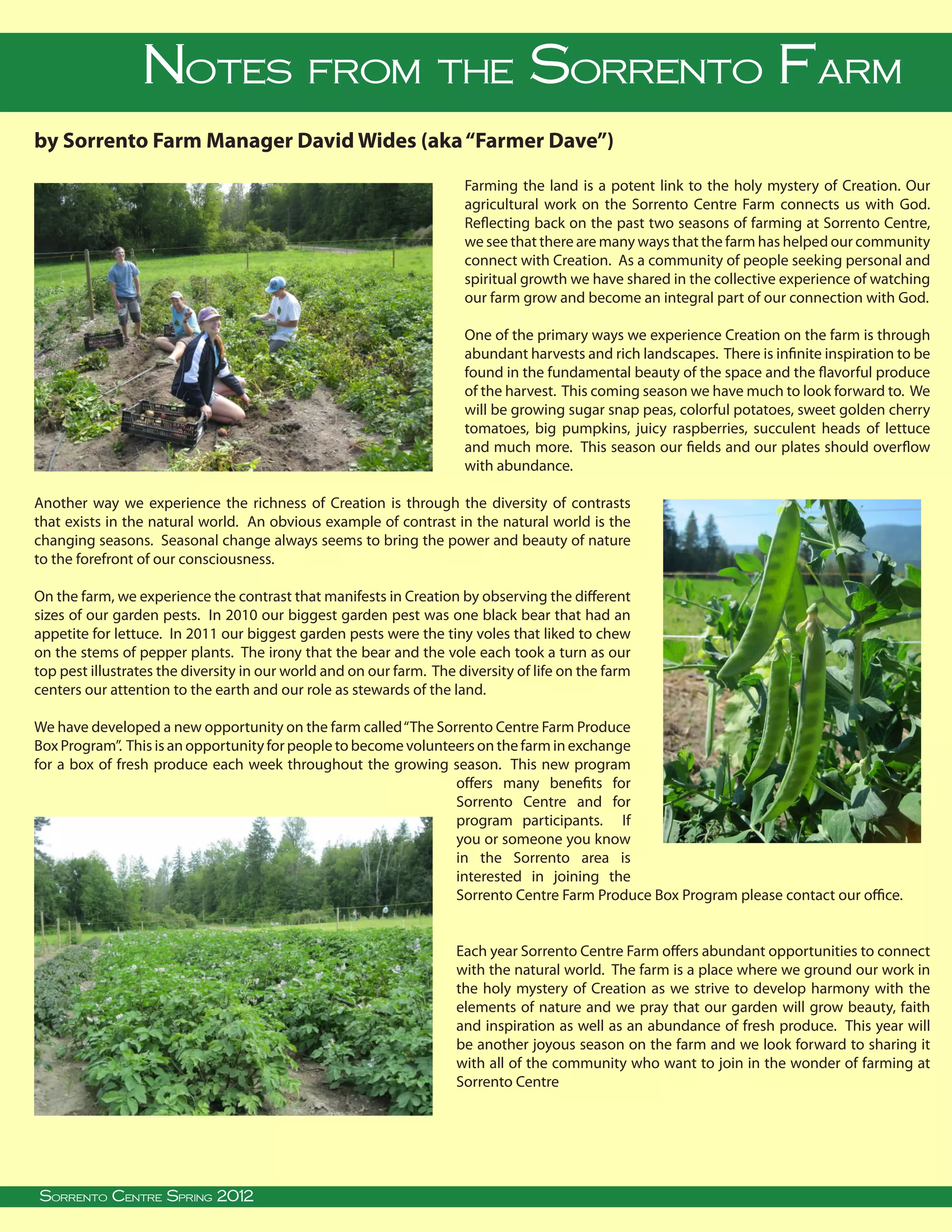 Notes from the Sorrento Farm
by Sorrento Farm Manager David Wides (aka “Farmer Dave”)
                                                                           Farming the land is a potent link to the holy mystery of Creation. Our
                                                                           agricultural work on the Sorrento Centre Farm connects us with God.
                                                                           Reflecting back on the past two seasons of farming at Sorrento Centre,
                                                                           we see that there are many ways that the farm has helped our community
                                                                           connect with Creation. As a community of people seeking personal and
                                                                           spiritual growth we have shared in the collective experience of watching
                                                                           our farm grow and become an integral part of our connection with God.

                                                                           One of the primary ways we experience Creation on the farm is through
                                                                           abundant harvests and rich landscapes. There is infinite inspiration to be
                                                                           found in the fundamental beauty of the space and the flavorful produce
                                                                           of the harvest. This coming season we have much to look forward to. We
                                                                           will be growing sugar snap peas, colorful potatoes, sweet golden cherry
                                                                           tomatoes, big pumpkins, juicy raspberries, succulent heads of lettuce
                                                                           and much more. This season our fields and our plates should overflow
                                                                           with abundance.

Another way we experience the richness of Creation is through the diversity of contrasts
that exists in the natural world. An obvious example of contrast in the natural world is the
changing seasons. Seasonal change always seems to bring the power and beauty of nature
to the forefront of our consciousness.

On the farm, we experience the contrast that manifests in Creation by observing the different
sizes of our garden pests. In 2010 our biggest garden pest was one black bear that had an
appetite for lettuce. In 2011 our biggest garden pests were the tiny voles that liked to chew
on the stems of pepper plants. The irony that the bear and the vole each took a turn as our
top pest illustrates the diversity in our world and on our farm. The diversity of life on the farm
centers our attention to the earth and our role as stewards of the land.

We have developed a new opportunity on the farm called “The Sorrento Centre Farm Produce
Box Program”. This is an opportunity for people to become volunteers on the farm in exchange
for a box of fresh produce each week throughout the growing season. This new program
                                                                 offers many benefits for
                                                                 Sorrento Centre and for
                                                                 program participants. If
                                                                 you or someone you know
                                                                 in the Sorrento area is
                                                                 interested in joining the
                                                                 Sorrento Centre Farm Produce Box Program please contact our office.


                                                                         Each year Sorrento Centre Farm offers abundant opportunities to connect
                                                                         with the natural world. The farm is a place where we ground our work in
                                                                         the holy mystery of Creation as we strive to develop harmony with the
                                                                         elements of nature and we pray that our garden will grow beauty, faith
                                                                         and inspiration as well as an abundance of fresh produce. This year will
                                                                         be another joyous season on the farm and we look forward to sharing it
                                                                         with all of the community who want to join in the wonder of farming at
                                                                         Sorrento Centre




  
Sorrento Centre Summer Spring, BC, V0E 2W0 • (250) 675-2421 • fax: (250) 675-3032 • e-mail: info@sorrento-centre.bc.ca • on-line: www.sorrento-centre.bc.ca
 Sorrento Centre •Spring 2012 2011
     Sorrento Centre Box 99, Sorrento,
 