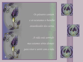 Os pássaros cantam  e só escutamos o barulho ensurdecedor dos carros. A vida está sorrindo  mas estamos sérios demais  para viver e sorrir com a vida. 
