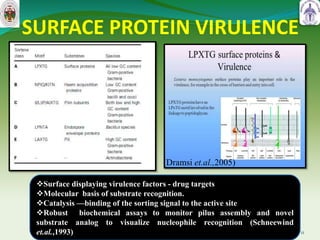 SURFACE PROTEIN VIRULENCE
11
(Dramsi et.al.,2005)
Surface displaying virulence factors - drug targets
Molecular basis of substrate recognition.
Catalysis —binding of the sorting signal to the active site
Robust biochemical assays to monitor pilus assembly and novel
substrate analog to visualize nucleophile recognition (Schneewind
et.al.,1993)
 