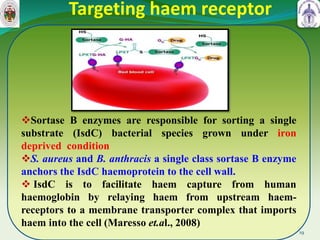 Targeting haem receptor
Sortase B enzymes are responsible for sorting a single
substrate (IsdC) bacterial species grown under iron
deprived condition
S. aureus and B. anthracis a single class sortase B enzyme
anchors the IsdC haemoprotein to the cell wall.
 IsdC is to facilitate haem capture from human
haemoglobin by relaying haem from upstream haem-
receptors to a membrane transporter complex that imports
haem into the cell (Maresso et.al., 2008)
19
 
