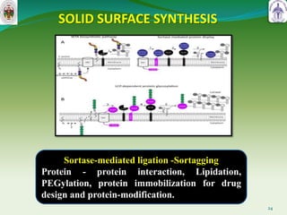 SOLID SURFACE SYNTHESIS
24
Sortase-mediated ligation -Sortagging
Protein - protein interaction, Lipidation,
PEGylation, protein immobilization for drug
design and protein-modification.
 